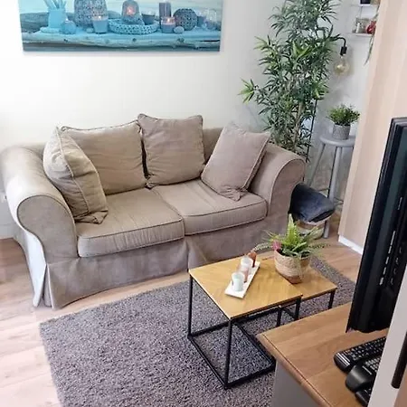 Le Cocon Cosy Proche Gare Apartment *