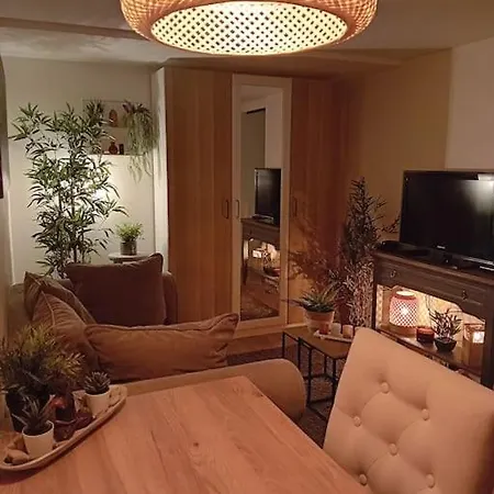 Le Cocon Cosy Proche Gare Apartment *