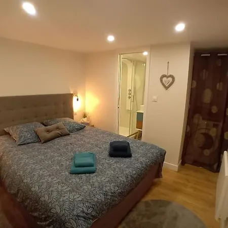 Le Cocon Cosy Proche Gare Apartment *