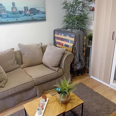 Le Cocon Cosy Proche Gare Appartement *